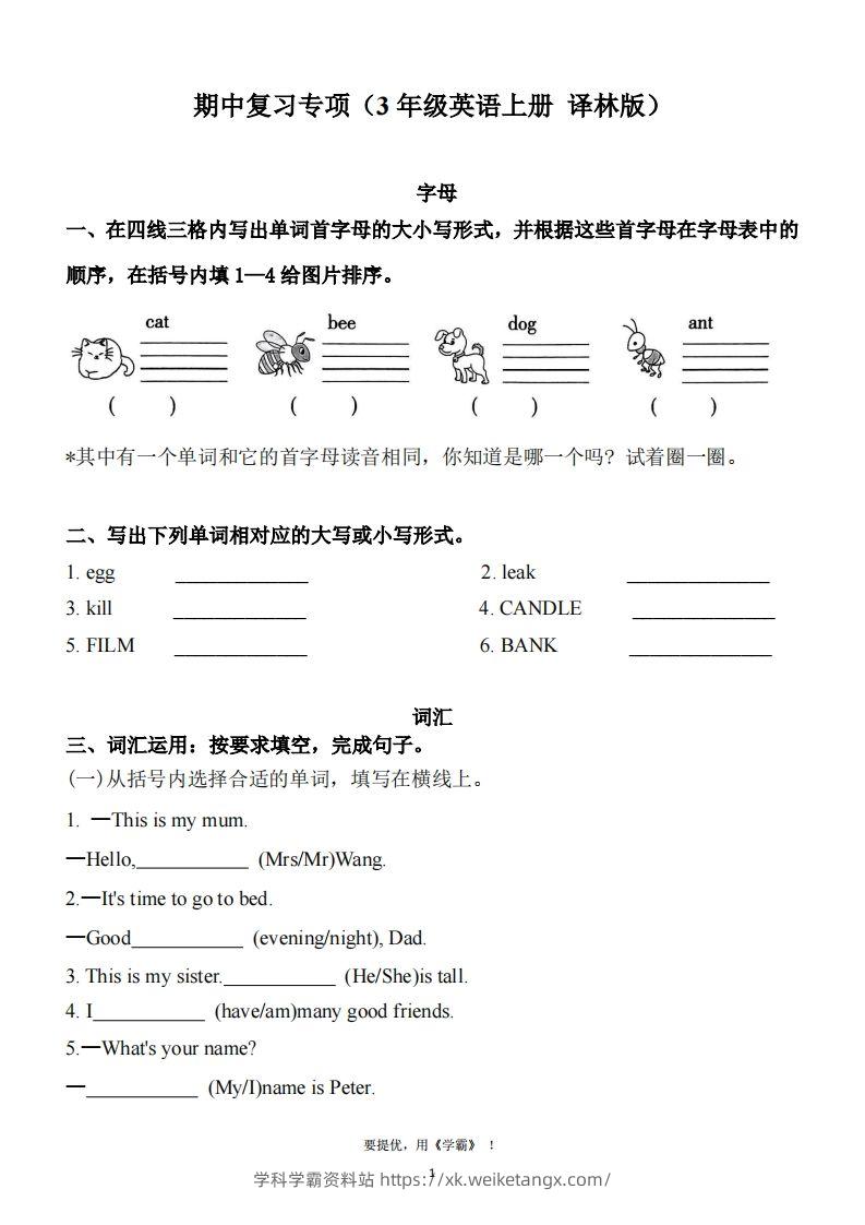 期中复习专项（三上英语译林版）-学科学霸资料站